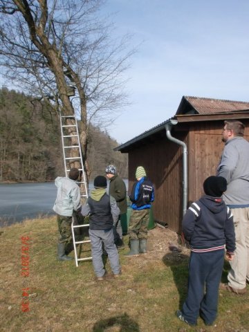 Nistkasten 030312 (65)